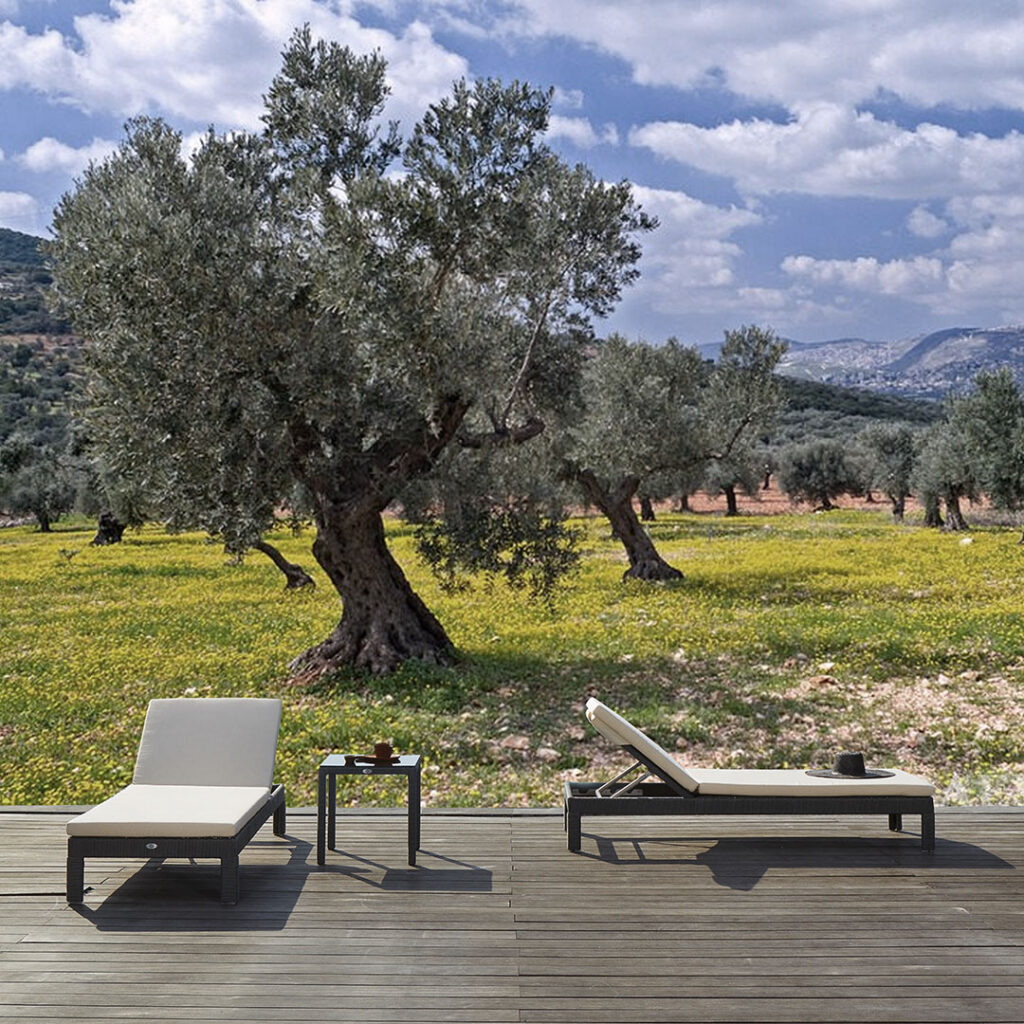 22700 MADISON Skyline Design LOUNGER BRONZE FLAT-FLAT 7 mm 09