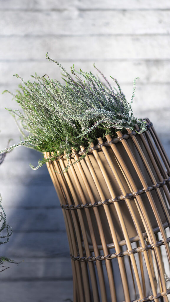 22831 CYCLONE Skyline Design LARGE PLANTER MUSHROOM 15 mm 04