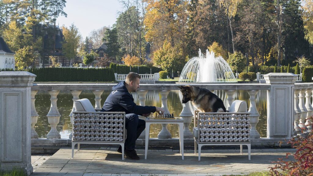 23061 Armchair HEART SEASHELL FLAT-FLAT Skyline Design 1