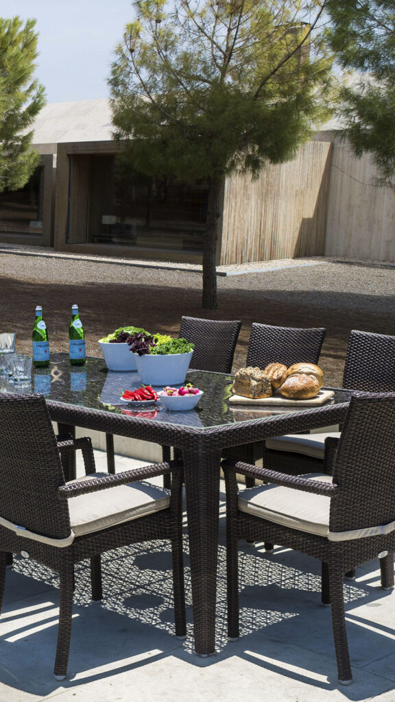 2424 RIA Skyline Design DINING ARMCHAIR MOCCA Polypeel 7 mm 09